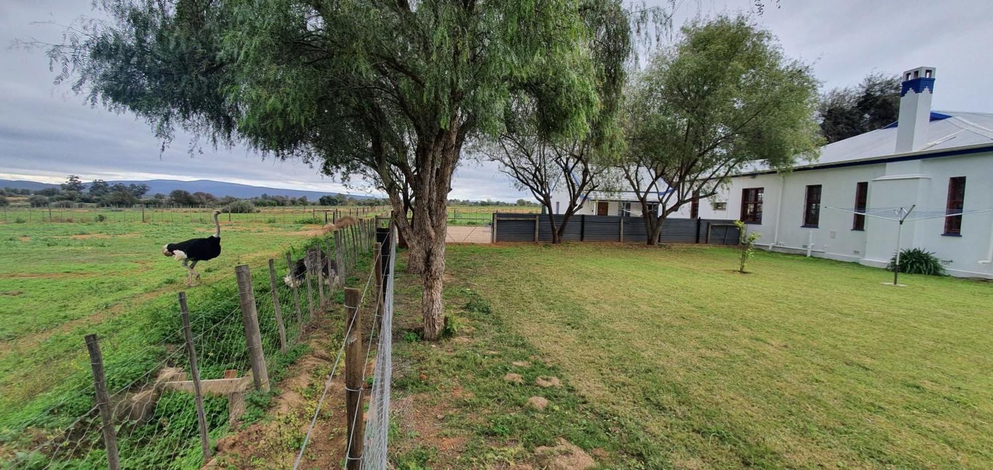 Karoo Leeu Self Catering Βίλα Oudtshoorn Εξωτερικό φωτογραφία
